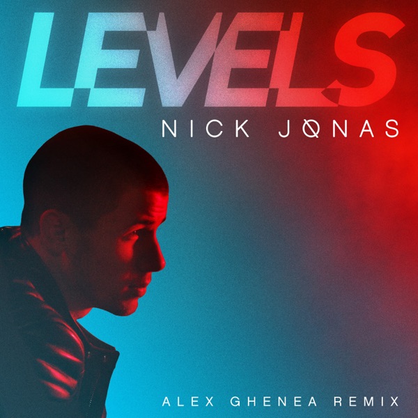 Avicii - Levels (Extended Mix)