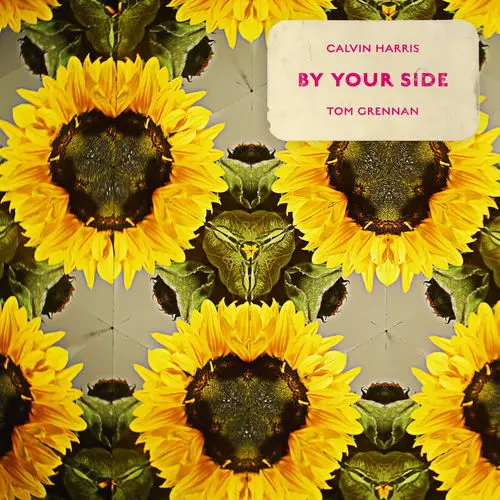Cover von Calvin Harris Feat. Tom Grennan