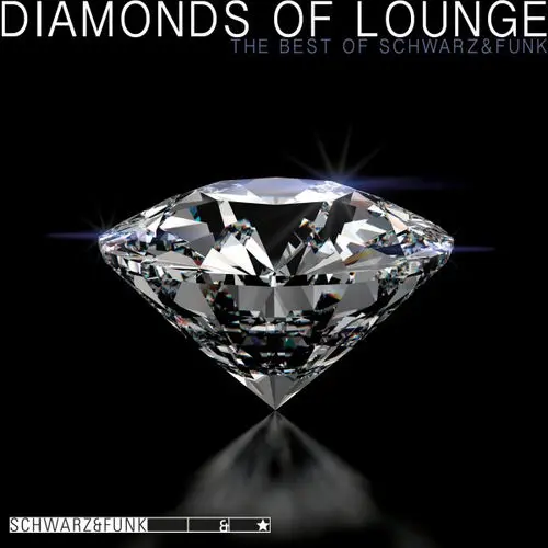 Cover von Schwarz + Funk