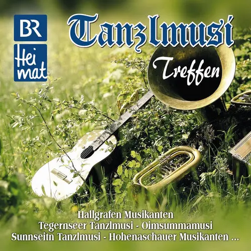 Cover von Tegernseer Tanzlmusi