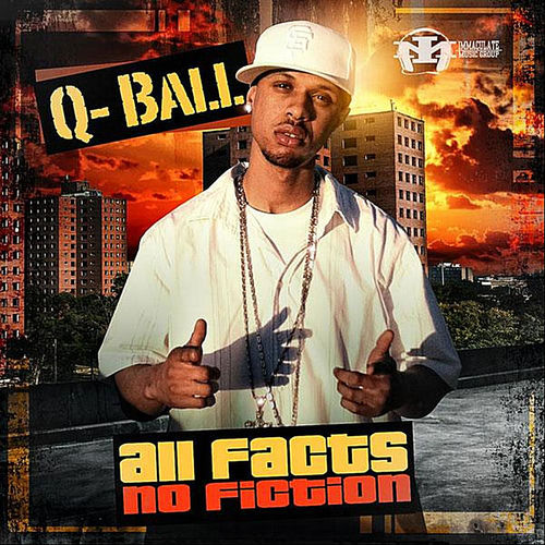Cover von Facts + Fiction