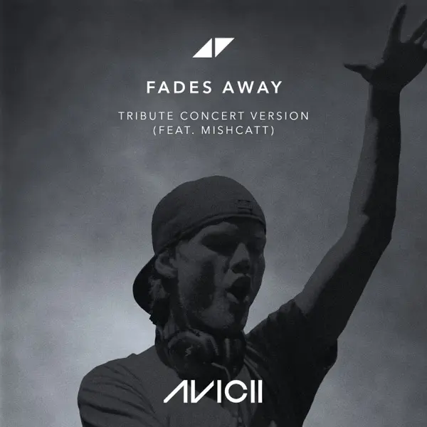 Cover von Avicii